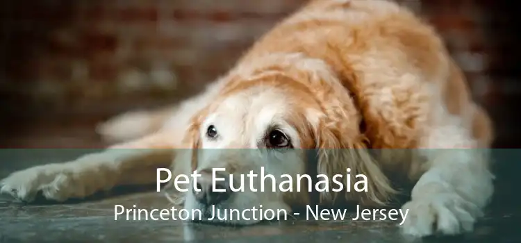 Pet Euthanasia Princeton Junction - New Jersey