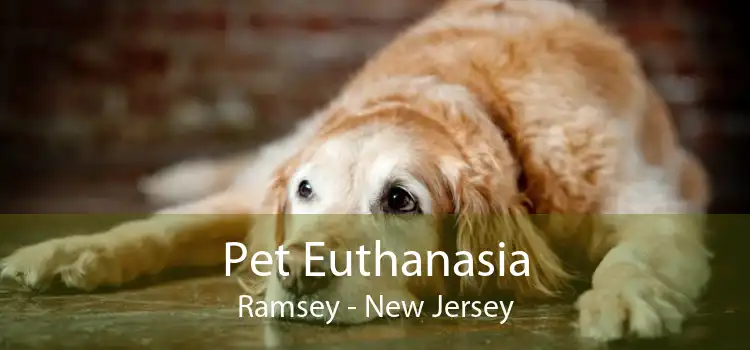 Pet Euthanasia Ramsey - New Jersey