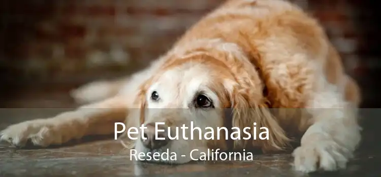Pet Euthanasia Reseda - California