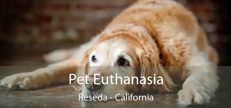 Pet Euthanasia Reseda - California