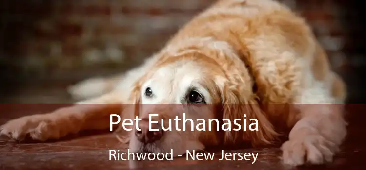 Pet Euthanasia Richwood - New Jersey