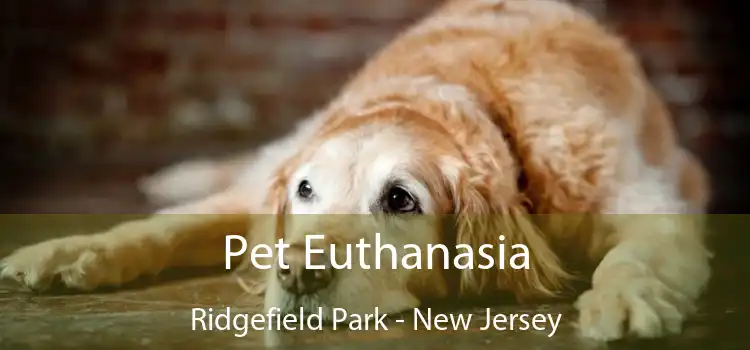 Pet Euthanasia Ridgefield Park - New Jersey