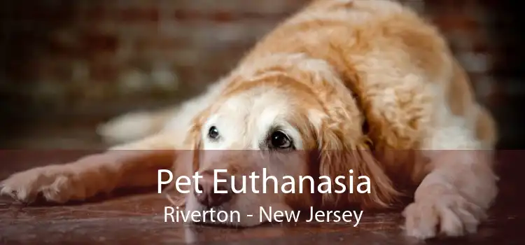 Pet Euthanasia Riverton - New Jersey