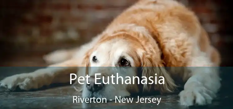 Pet Euthanasia Riverton - New Jersey