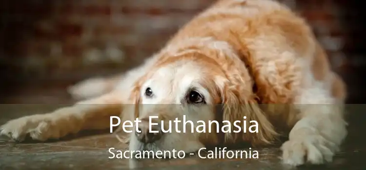 Pet Euthanasia Sacramento - California