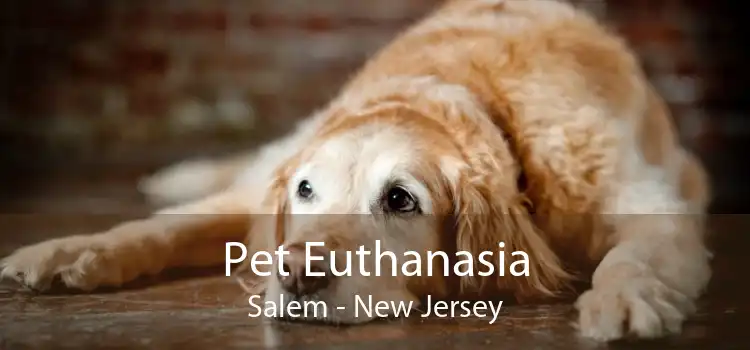 Pet Euthanasia Salem - New Jersey