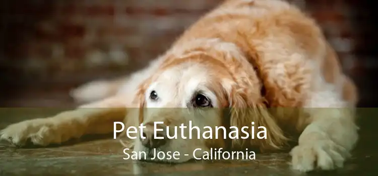 Pet Euthanasia San Jose - California