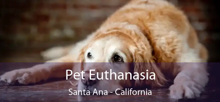 Pet Euthanasia Santa Ana - California