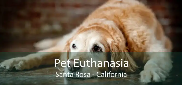Pet Euthanasia Santa Rosa - California