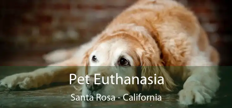 Pet Euthanasia Santa Rosa - California