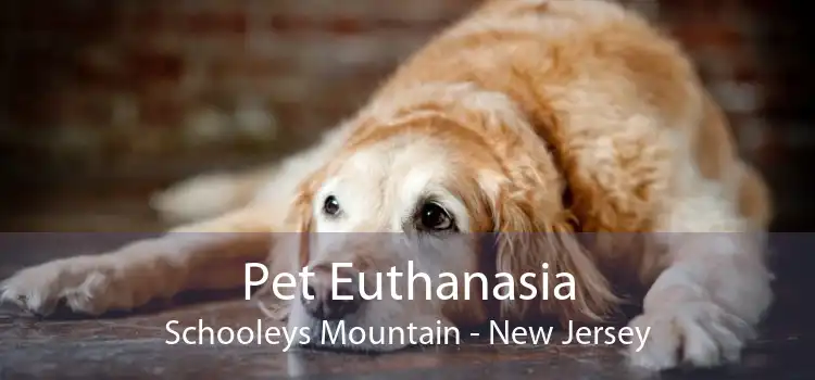 Pet Euthanasia Schooleys Mountain - New Jersey