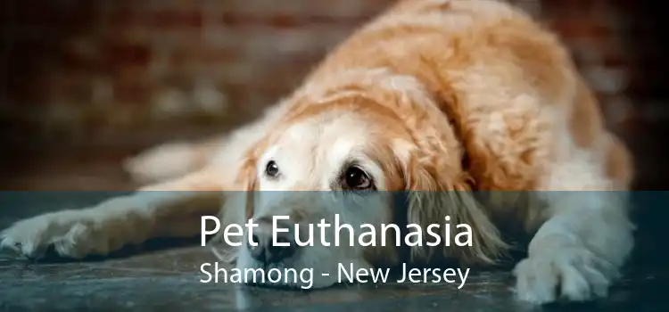 Pet Euthanasia Shamong - New Jersey