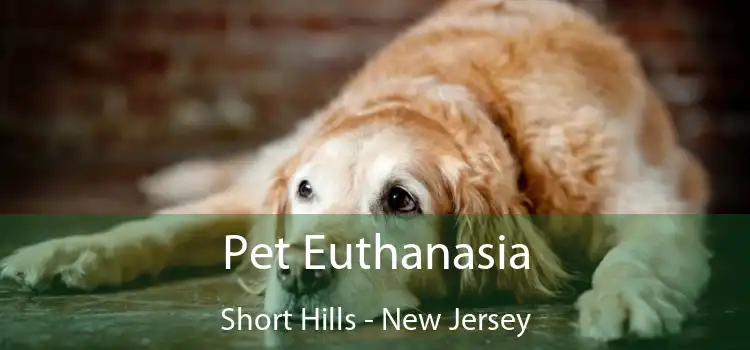 Pet Euthanasia Short Hills - New Jersey