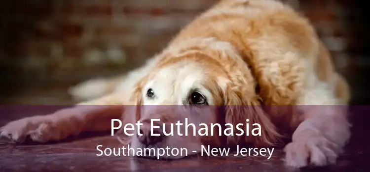 Pet Euthanasia Southampton - New Jersey