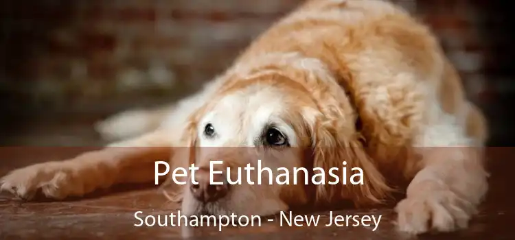 Pet Euthanasia Southampton - New Jersey