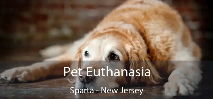 Pet Euthanasia Sparta - New Jersey