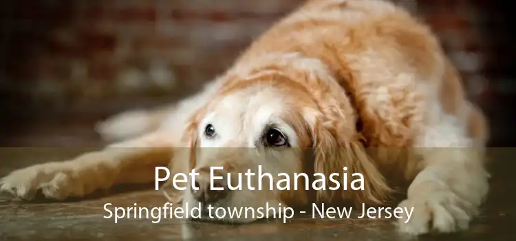 Pet Euthanasia Springfield township - New Jersey