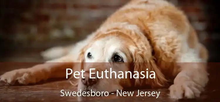 Pet Euthanasia Swedesboro - New Jersey