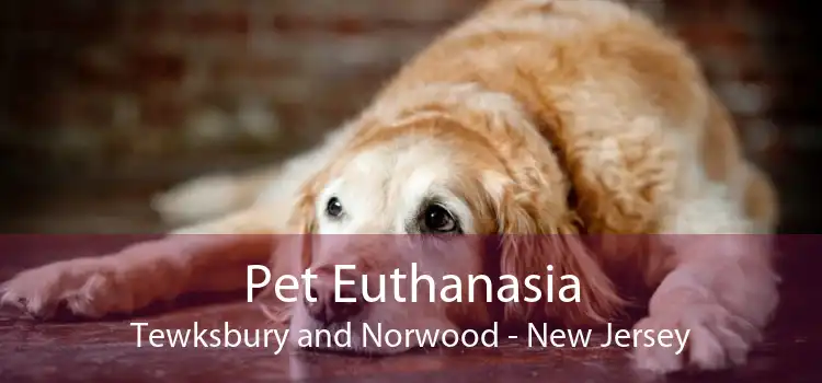 Pet Euthanasia Tewksbury and Norwood - New Jersey
