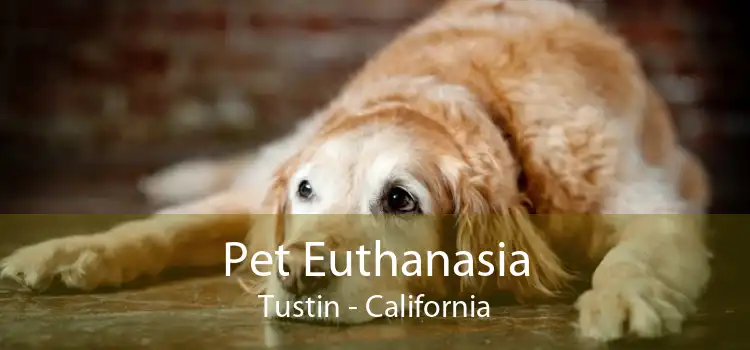 Pet Euthanasia Tustin - California