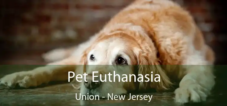 Pet Euthanasia Union - New Jersey