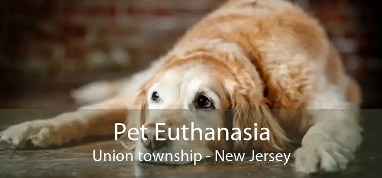Pet Euthanasia Union township - New Jersey