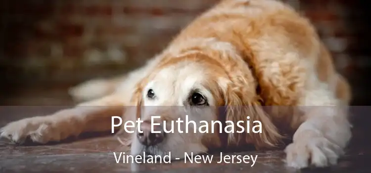 Pet Euthanasia Vineland - New Jersey