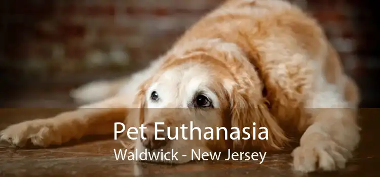 Pet Euthanasia Waldwick - New Jersey