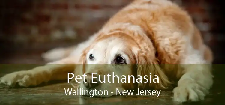 Pet Euthanasia Wallington - New Jersey