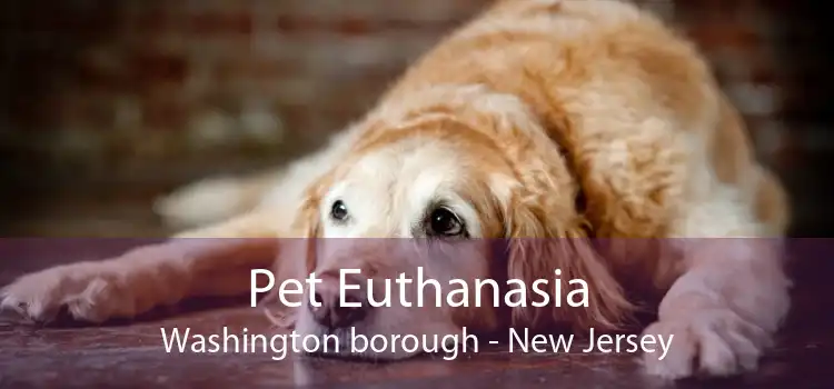 Pet Euthanasia Washington borough - New Jersey