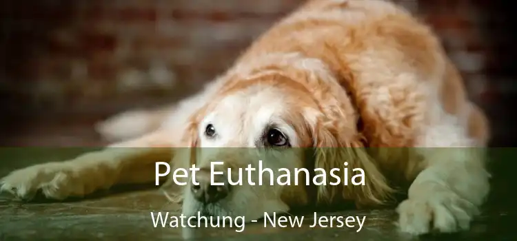 Pet Euthanasia Watchung - New Jersey