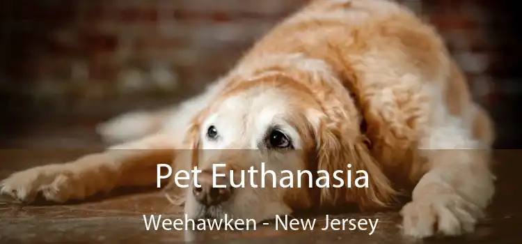 Pet Euthanasia Weehawken - New Jersey