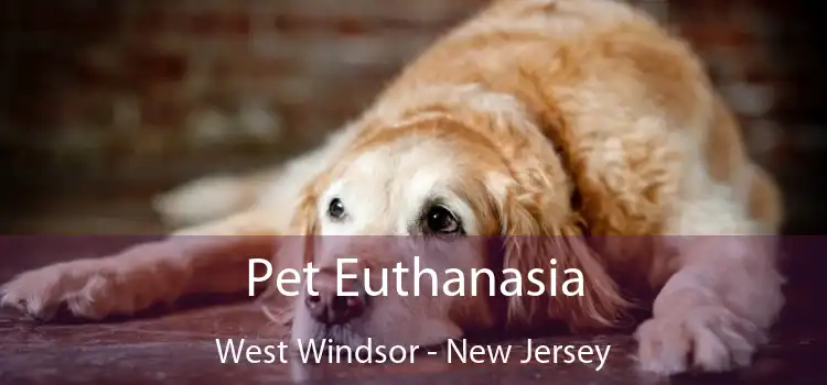 Pet Euthanasia West Windsor - New Jersey