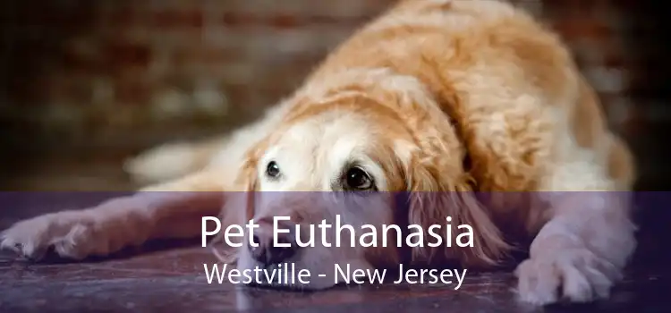 Pet Euthanasia Westville - New Jersey