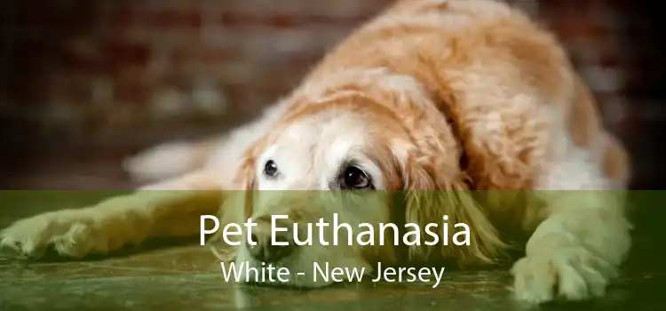 Pet Euthanasia White - New Jersey
