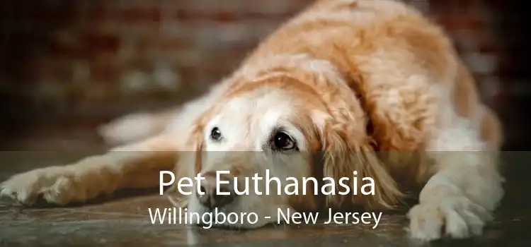 Pet Euthanasia Willingboro - New Jersey