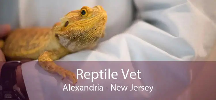 Reptile Vet Alexandria - New Jersey