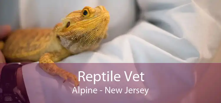 Reptile Vet Alpine - New Jersey
