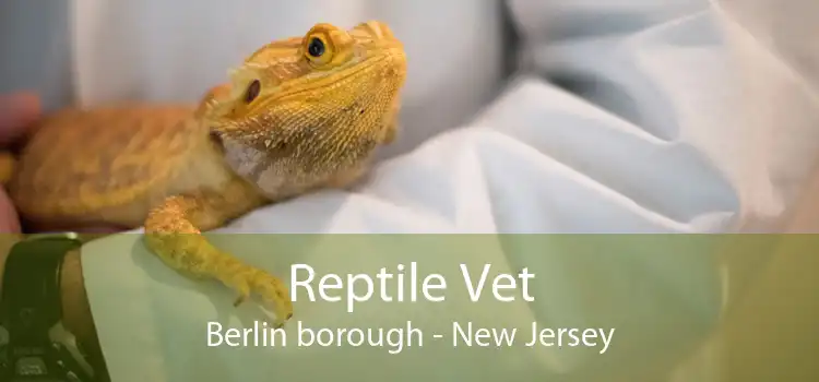 Reptile Vet Berlin borough - New Jersey