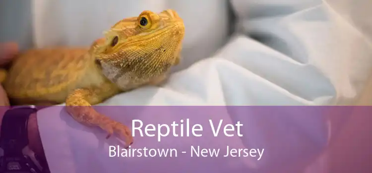 Reptile Vet Blairstown - New Jersey