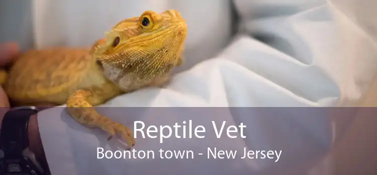 Reptile Vet Boonton town - New Jersey