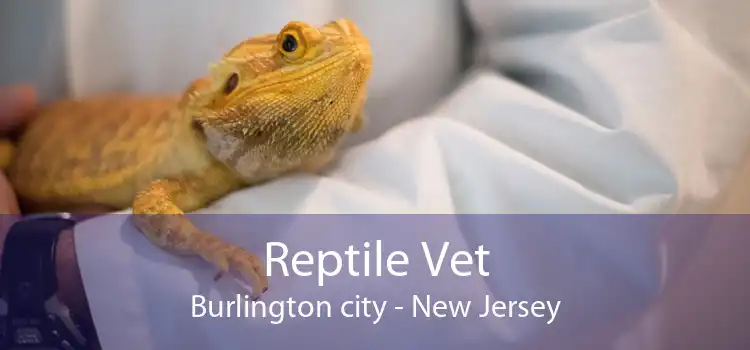 Reptile Vet Burlington city - New Jersey
