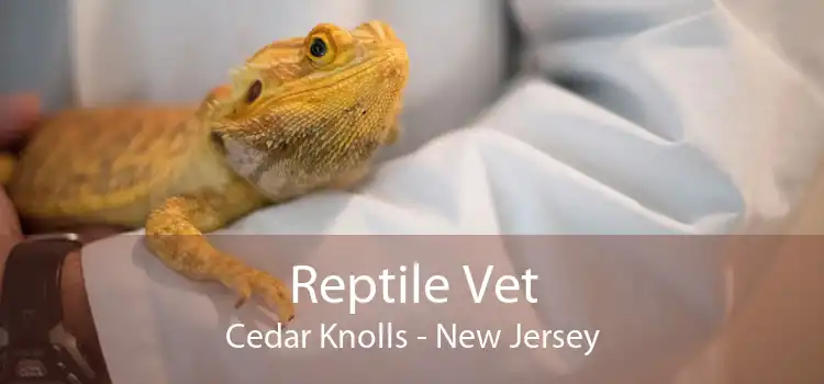 Reptile Vet Cedar Knolls - New Jersey