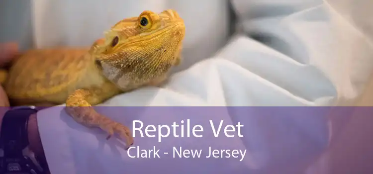 Reptile Vet Clark - New Jersey