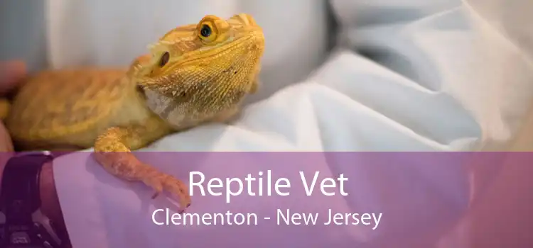 Reptile Vet Clementon - New Jersey