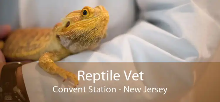 Reptile Vet Convent Station - New Jersey
