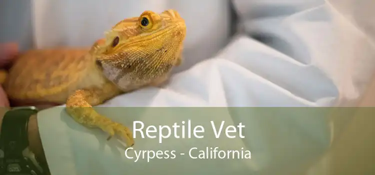 Reptile Vet Cyrpess - California
