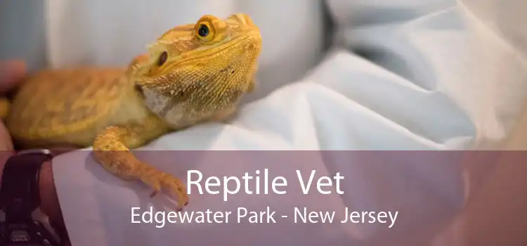Reptile Vet Edgewater Park - New Jersey