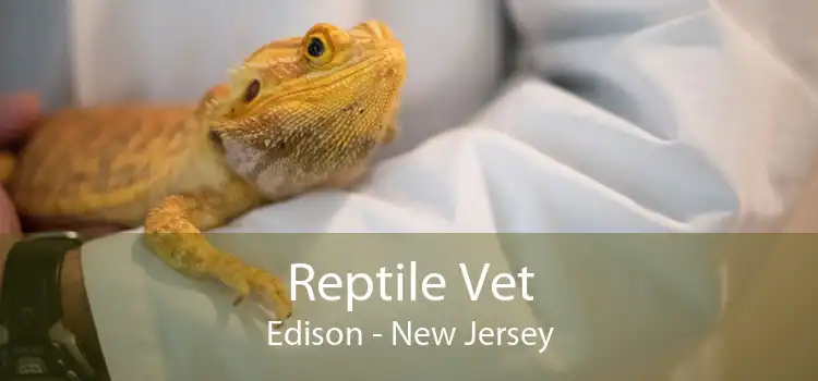 Reptile Vet Edison - New Jersey