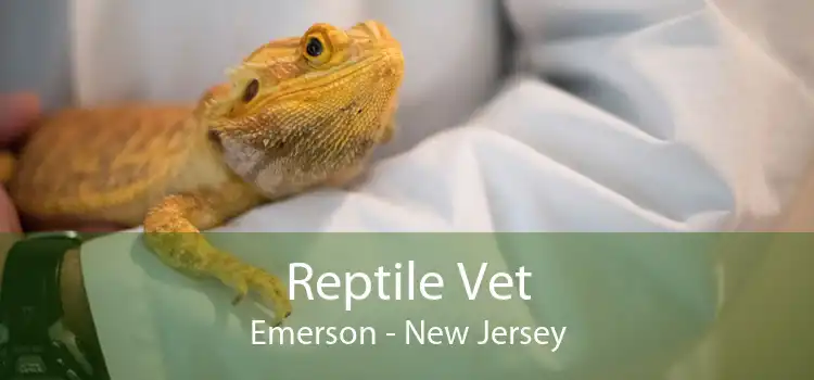Reptile Vet Emerson - New Jersey